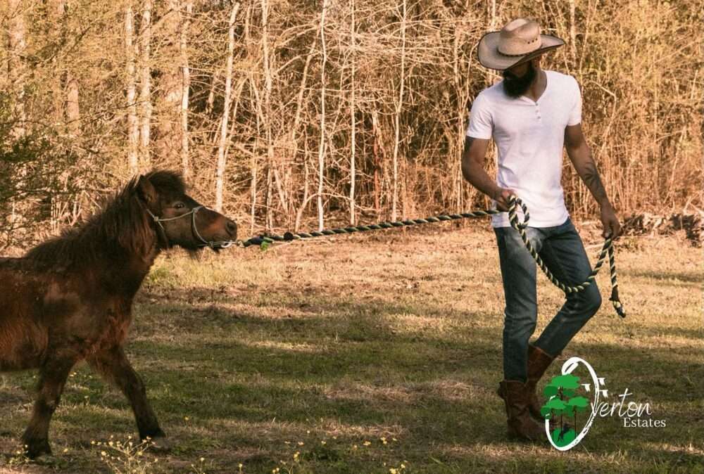 Black Owned Ranches You Should Know The Common Ground Network