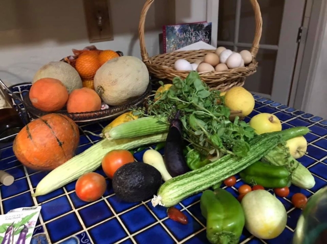 The Ultimate List of Black Owned Farms & Food Gardens