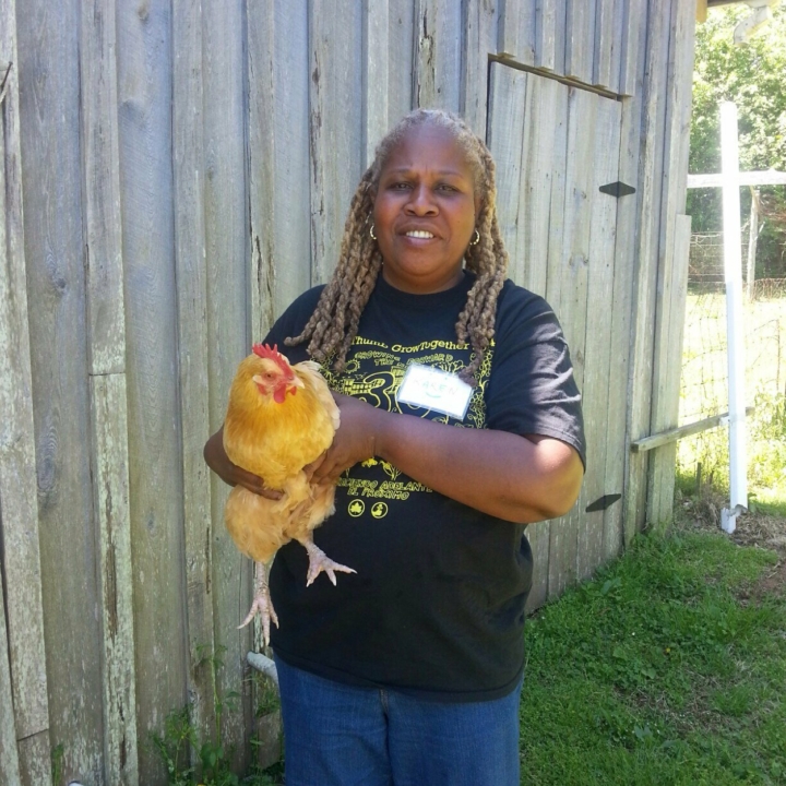 Black Owned Farms Near Me Discovering Local Cultural Heritage)