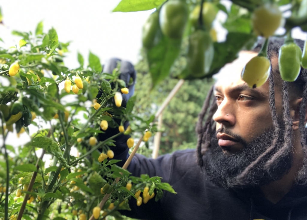 Black Owned Pepper and Spice Farm