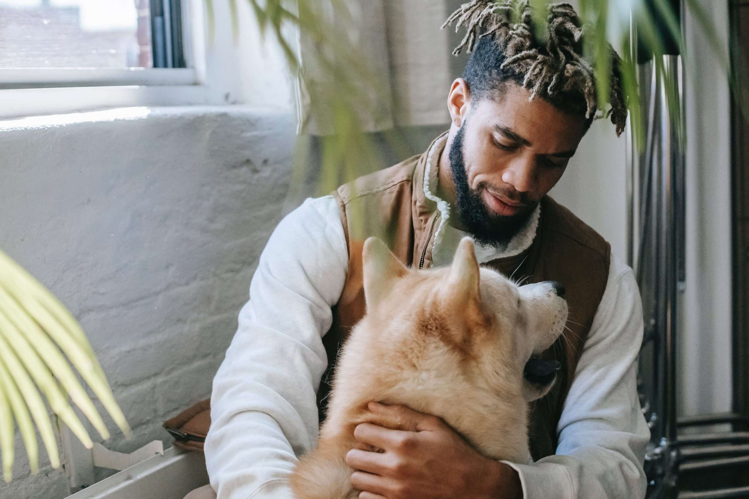 black owned pet businesses