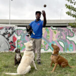 Black Owned Pet Daycare