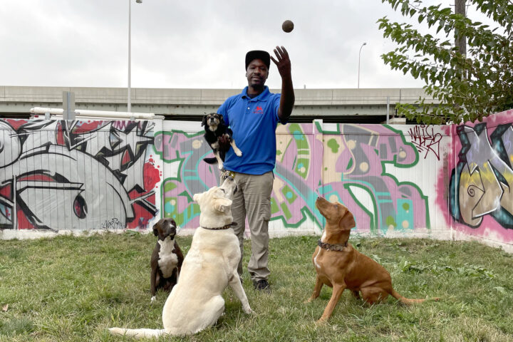 Black Owned Pet Daycare