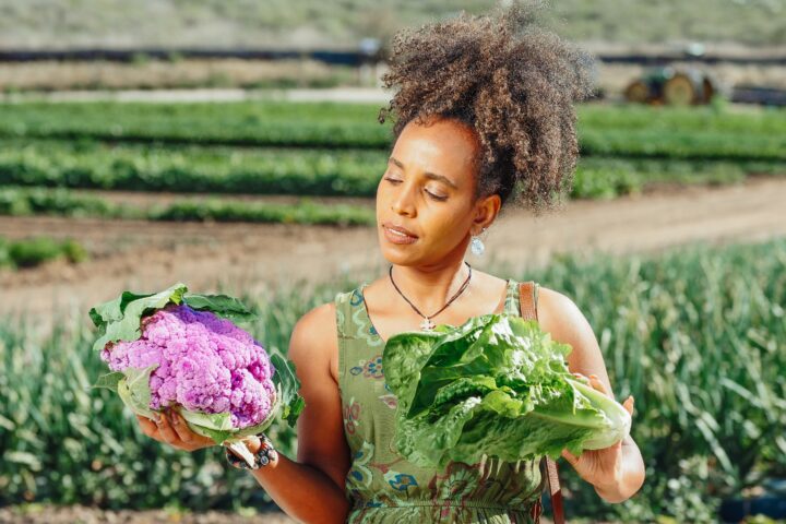 Growing Your Own Food