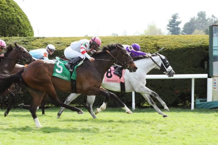 Black Women Horse Owners