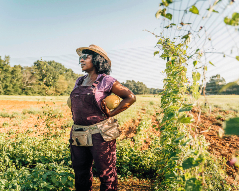 Black Owned Farming Business