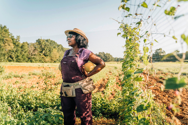 Black Owned Farming Business