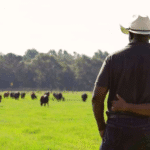 black ranchers
