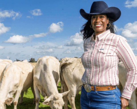 Ratcliff Premium Meats