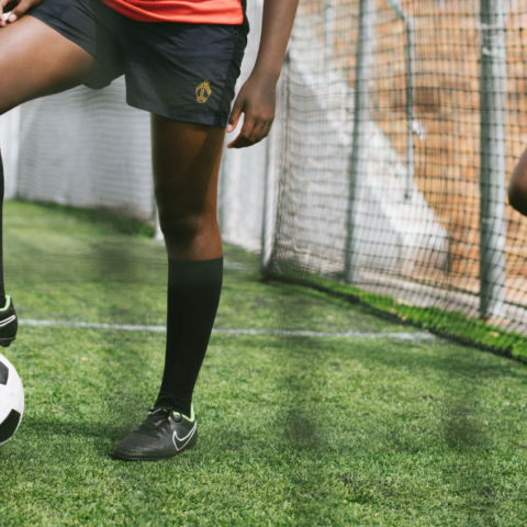 women's sports