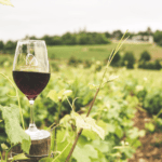 Black-Owned Wineries