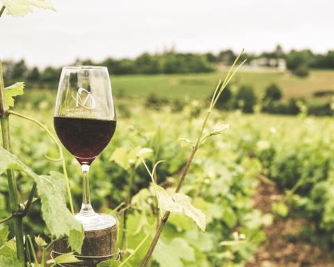 Black-Owned Wineries