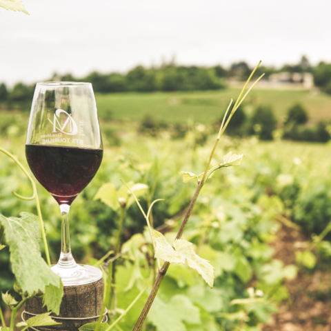 Black-Owned Wineries