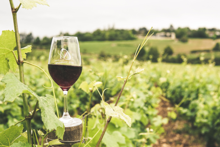 Black-Owned Wineries