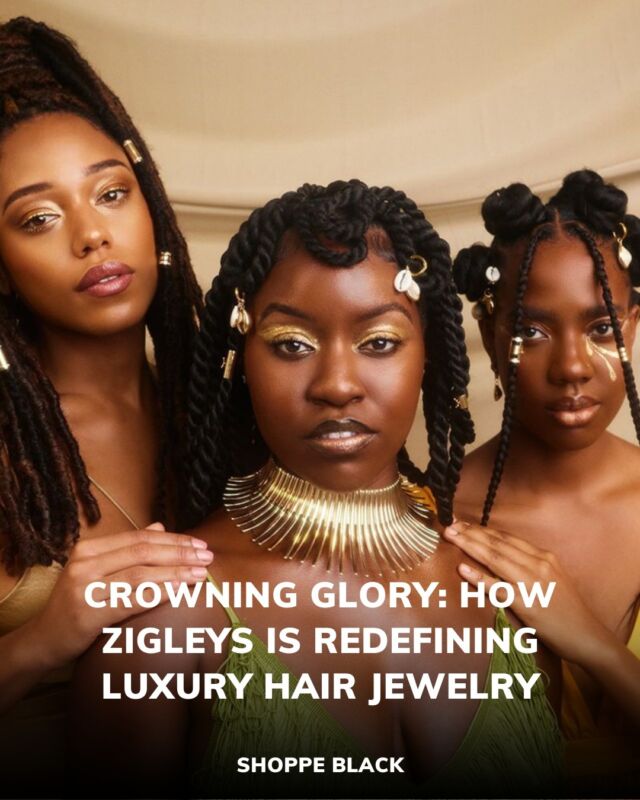 Image result for Crowning Glory: The Business of Black Hair and Empowering Black Entrepreneurs infographics